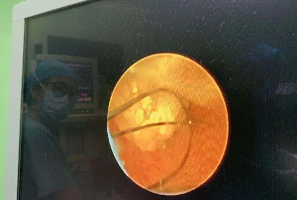 1615866854813747.png 5.png