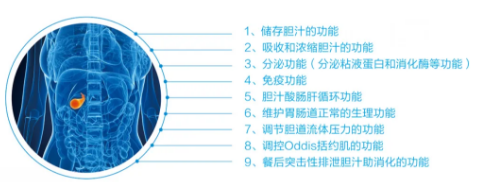 1615867039726587.png 1.png