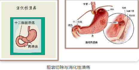 1615867063229142.png 3.png