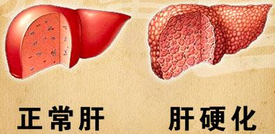 1615867088106411.png 5.png