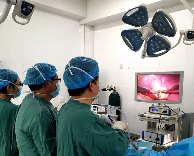 1615867426847272.png 1.png