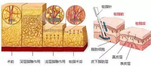 微信图片_20210514171015.jpg