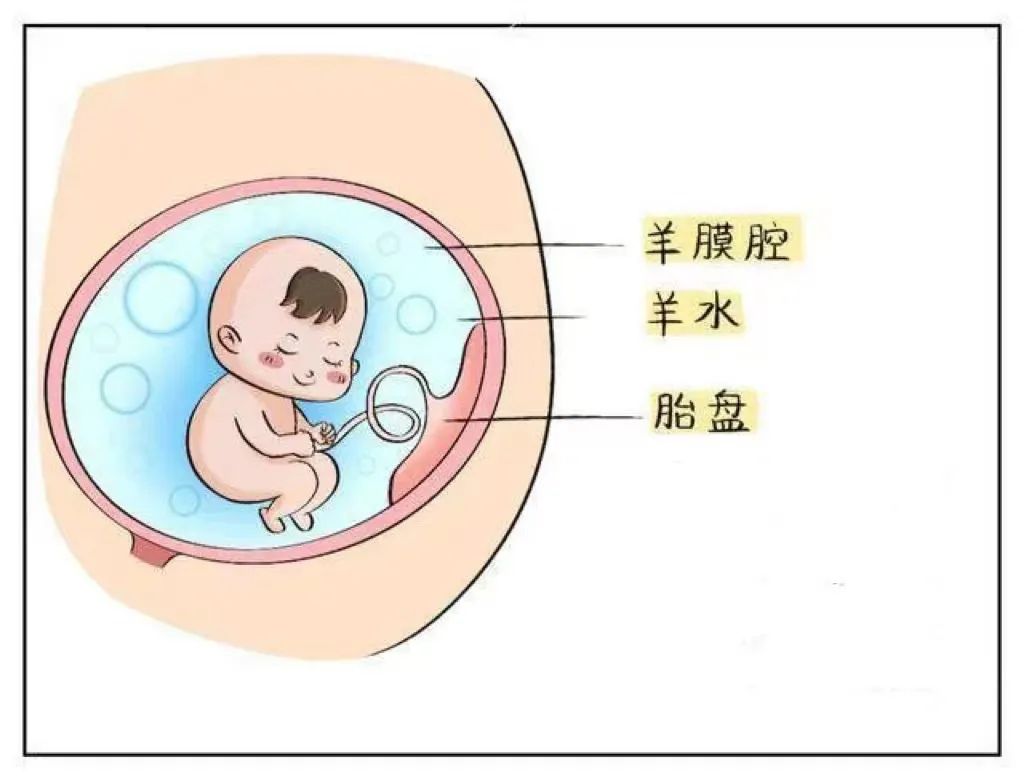 1660527395359451.jpg 2.jpg