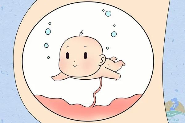 1660527528710263.jpg 1.jpg