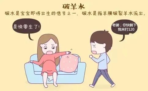 1660527570944024.jpg 3.jpg